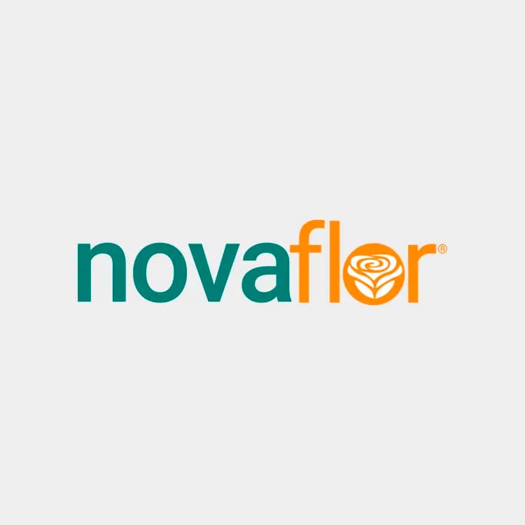Nova Flor